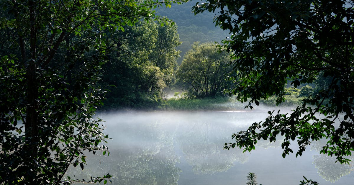 découvrez les certificats environnementaux, des documents essentiels qui attestent des pratiques durables et respectueuses de l'environnement. explorez leur rôle dans la lutte contre le changement climatique et leur impact sur les entreprises et les consommateurs.