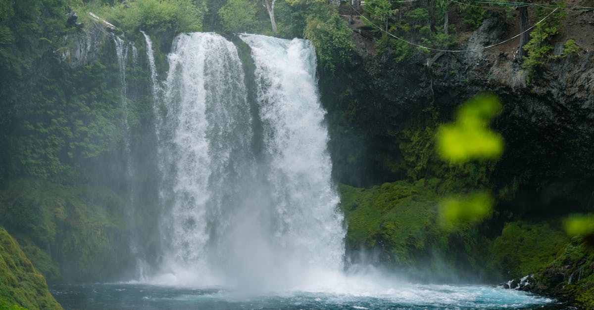 découvrez comment les comités environnementaux jouent un rôle crucial dans la protection de notre planète. explorez leurs initiatives, projets et impact sur la sensibilisation écologique.