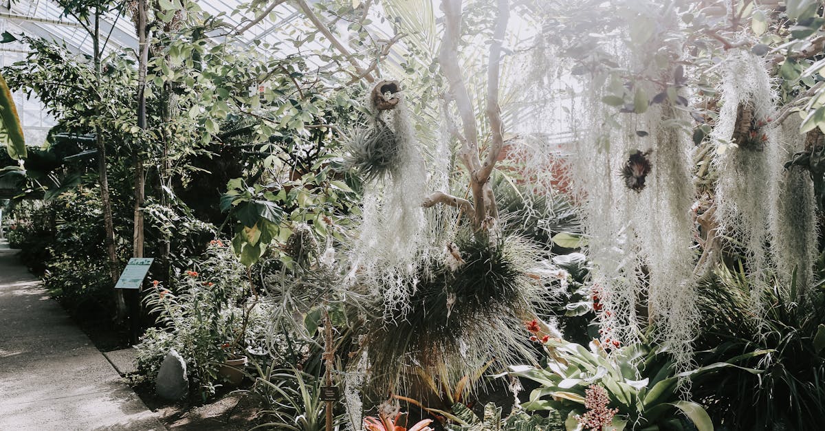découvrez les collectifs écologiques, des initiatives collaboratives qui unissent les citoyens pour promouvoir la durabilité, préserver l'environnement et encourager des pratiques écoresponsables. rejoignez le mouvement vers un avenir plus vert !