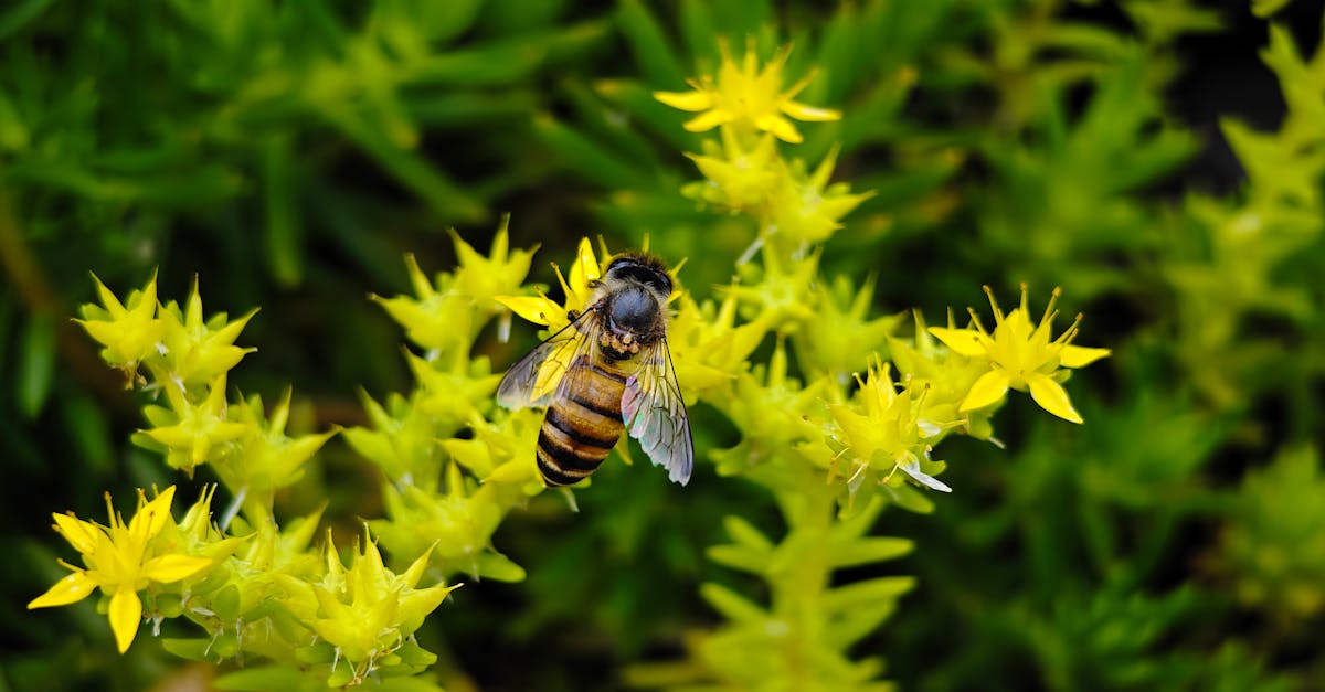 découvrez les réglementations environnementales essentielles qui visent à protéger notre planète, à promouvoir la durabilité et à garantir un avenir plus vert. informez-vous sur les normes en vigueur, leur impact sur les entreprises et les initiatives à prendre pour se conformer à ces exigences.