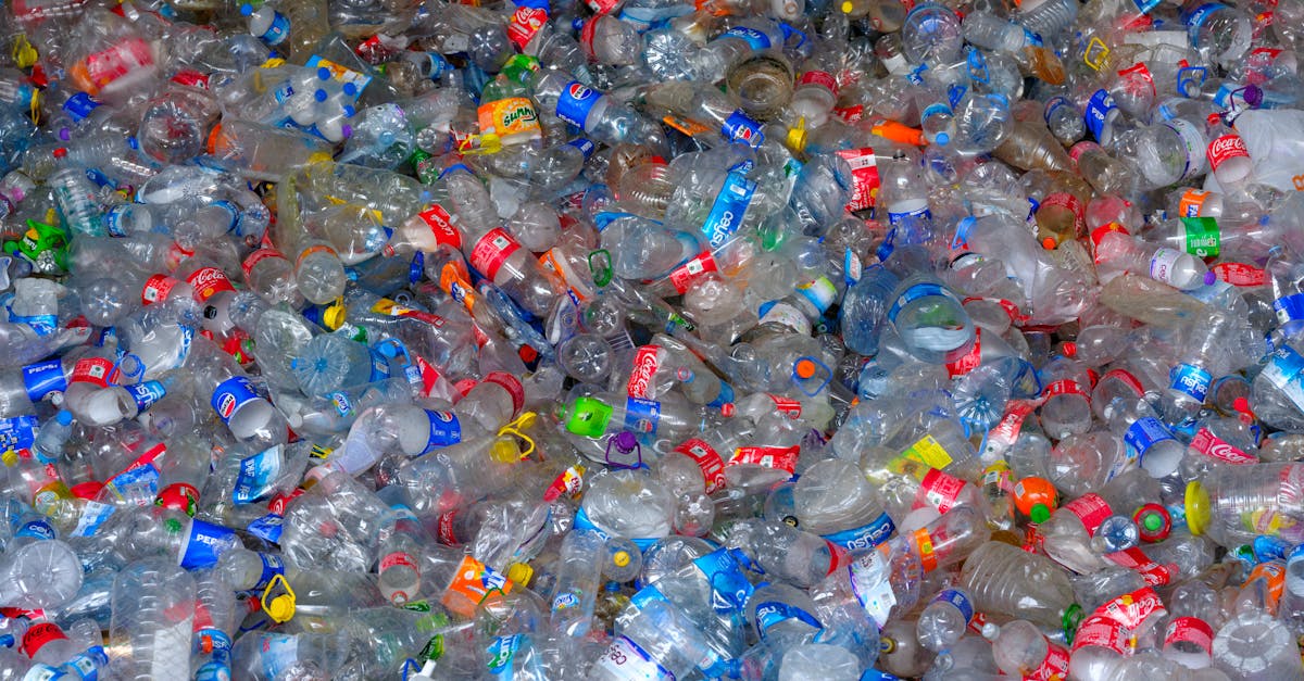 découvrez comment une gestion durable des ressources peut transformer nos sociétés et préserver notre planète. apprenez des stratégies innovantes pour optimiser l'utilisation des ressources naturelles tout en respectant l'environnement.