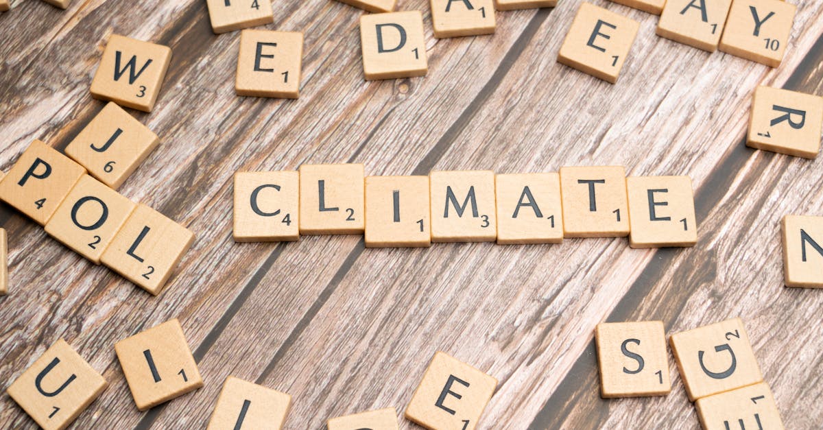 découvrez les enjeux et stratégies des politiques climatiques, leur impact sur l'environnement et les mesures adoptées pour lutter contre le changement climatique. informez-vous sur les initiatives globales et locales visant à promouvoir un avenir durable.