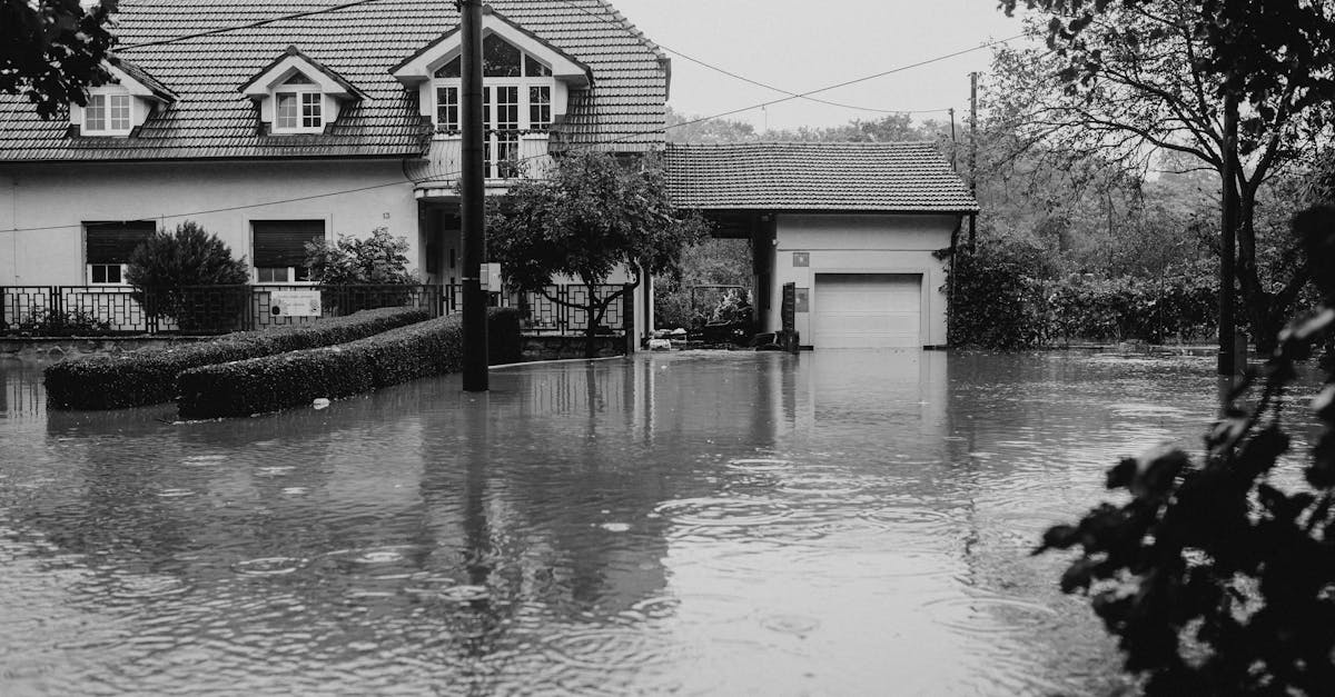 découvrez comment adapter les infrastructures aux défis actuels et futurs, en intégrant des solutions durables et innovantes pour assurer la résilience et l'efficacité des systèmes urbains.