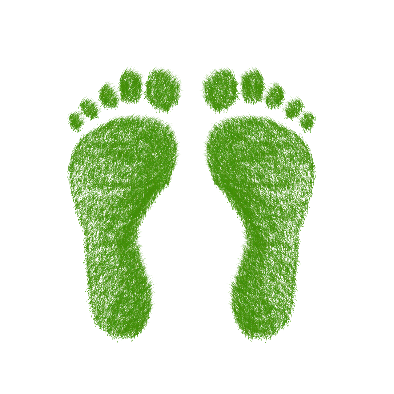 découvrez ce qu’est l’empreinte écologique, comment elle mesure l’impact de nos modes de vie sur la planète et des conseils pour la réduire au quotidien.