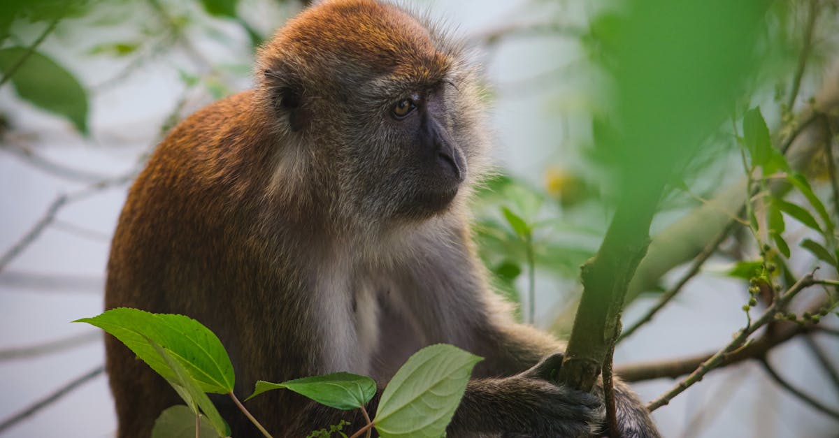 découvrez comment le changement de comportement peut transformer votre vie et améliorer votre bien-être. apprenez des stratégies efficaces pour adopter de nouvelles habitudes durables et surmonter les obstacles au changement.