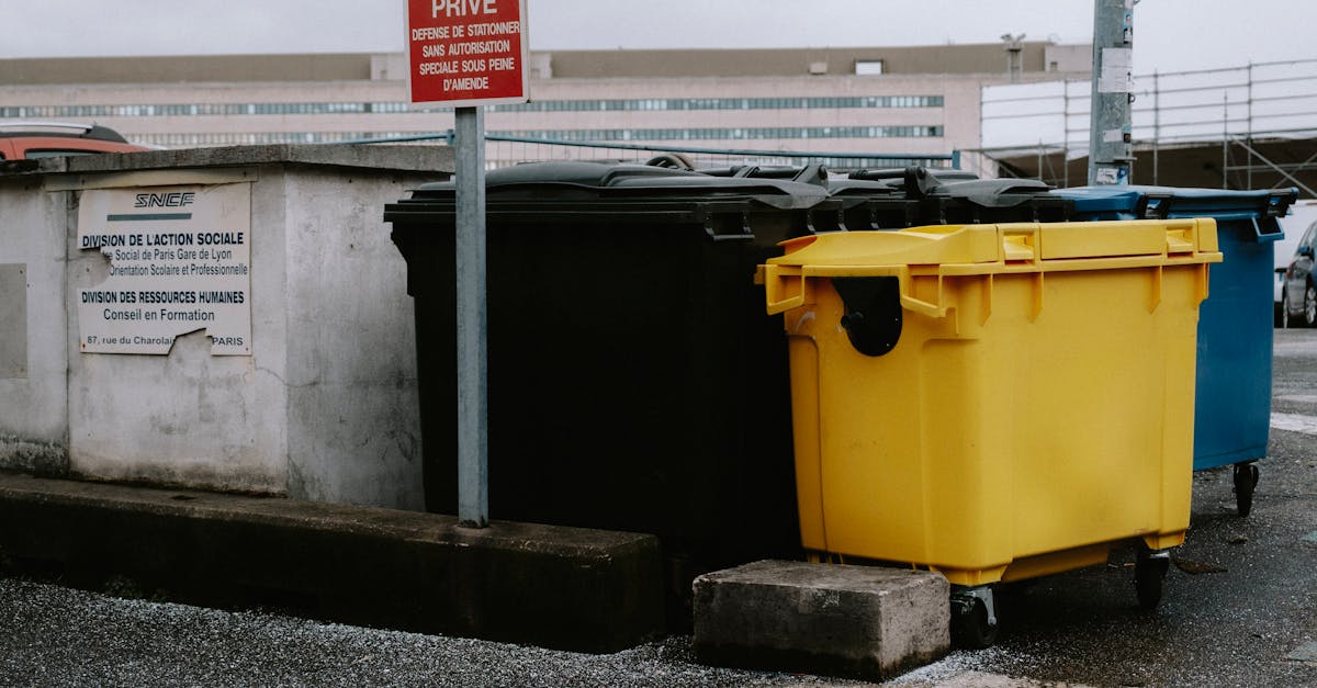 découvrez des initiatives durables qui favorisent un avenir écoresponsable. explorez des projets innovants, des pratiques écologiques et des actions concrètes pour réduire notre impact environnemental et promouvoir la durabilité.