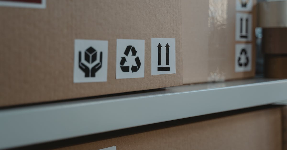 découvrez notre gamme d'équipements durables alliant innovation et respect de l'environnement. optez pour des solutions écologiques qui préservent la planète tout en répondant à vos besoins. adoptez un mode de vie responsable avec notre matériel conçu pour la durabilité.