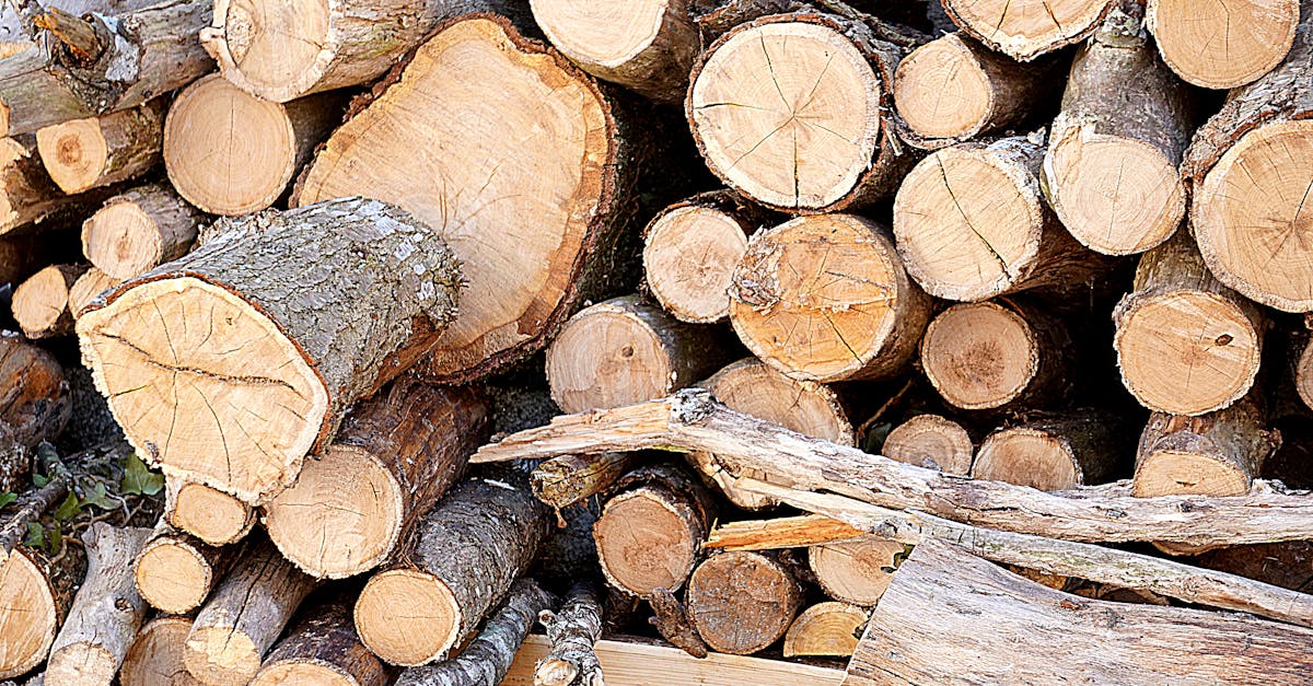 découvrez les solutions de chauffage renouvelable qui allient efficacité énergétique et respect de l'environnement. optez pour des alternatives durables et économiques pour votre confort thermique.