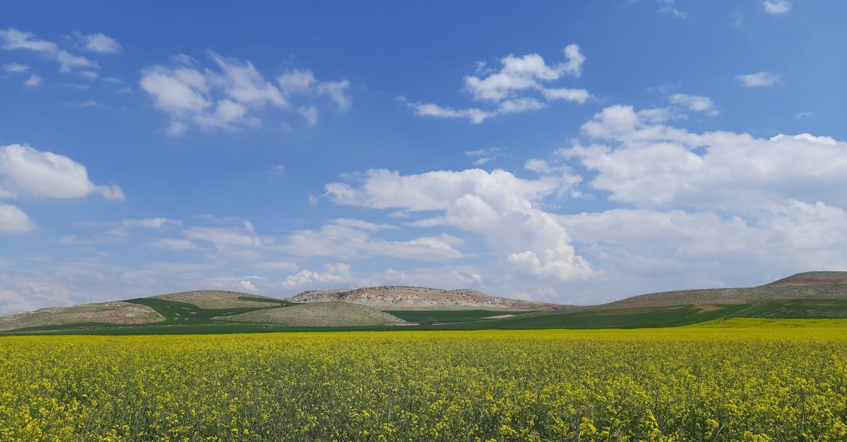 découvrez les indicateurs environnementaux essentiels pour évaluer l'état de notre planète. apprenez comment ces données influencent les politiques écologiques et contribuent à un avenir durable.