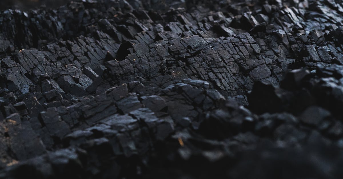 découvrez le concept de la compensation carbone et comment il contribue à la réduction des émissions de gaz à effet de serre. apprenez les différentes méthodes pour compenser votre empreinte carbone et participer à la lutte contre le changement climatique.