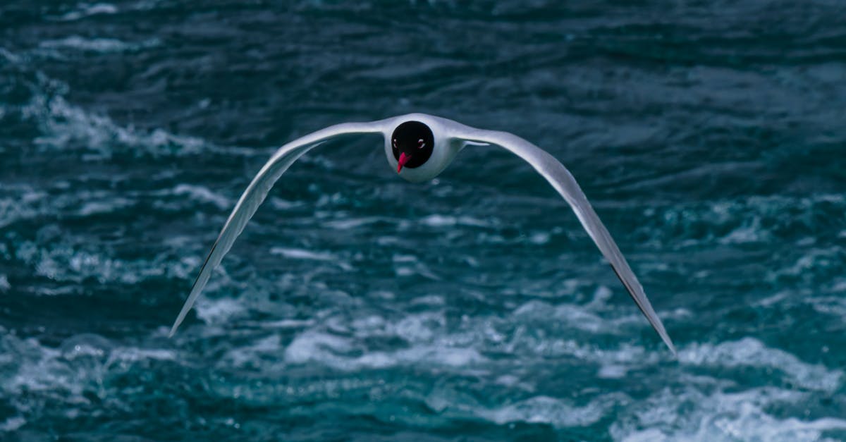 découvrez les précautions environnementales essentielles pour protéger notre planète. apprenez des pratiques durables et respectueuses de l'environnement qui contribuent à la préservation des ressources naturelles et à la lutte contre le changement climatique.