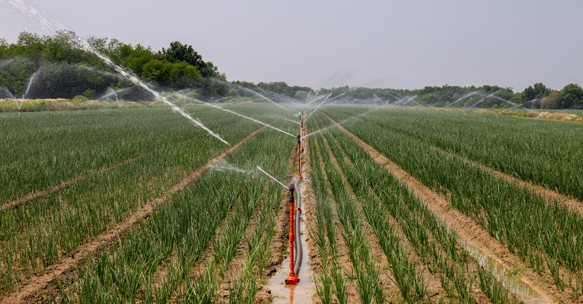 découvrez comment renforcer la résilience climatique pour mieux faire face aux impacts du changement climatique et protéger votre environnement, vos communautés et vos activités.