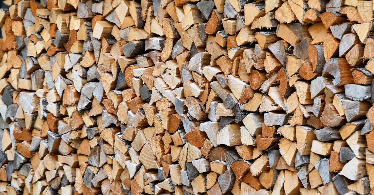 découvrez le potentiel de la biomasse, une source d'énergie renouvelable qui transforme les déchets organiques en énergie durable. apprenez comment elle contribue à la lutte contre le changement climatique et à la transition énergétique.