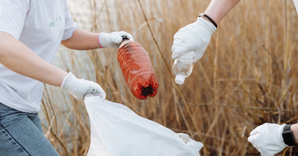 découvrez des solutions innovantes en gestion des déchets pour un environnement plus sain. apprenez comment réduire, recycler et gérer vos déchets efficacement tout en contribuant à la durabilité et à la protection de la planète.