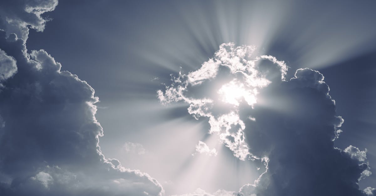 découvrez 'climate vision', une initiative innovante dédiée à la sensibilisation et à l'action face aux enjeux climatiques. rejoignez-nous pour explorer des solutions durables et inspirantes qui façonnent un avenir respectueux de notre planète.