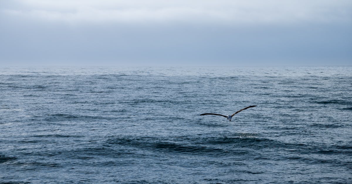 découvrez l'importance des réglementations environnementales pour protéger notre planète. informez-vous sur les lois et normes qui encadrent les activités industrielles et commerciales afin de garantir un développement durable et responsable.