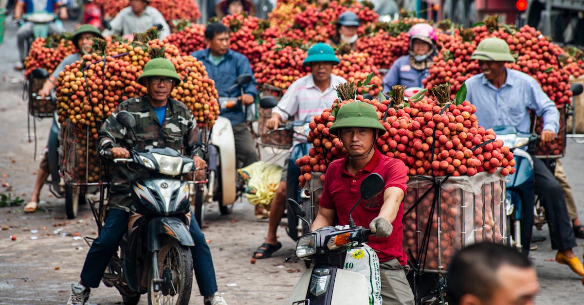 découvrez l'économie solidaire, un modèle alternatif qui privilégie la justice sociale, la coopération et le développement durable. engagez-vous dans des initiatives qui renforcent les liens communautaires et favorisent un impact positif sur la société.