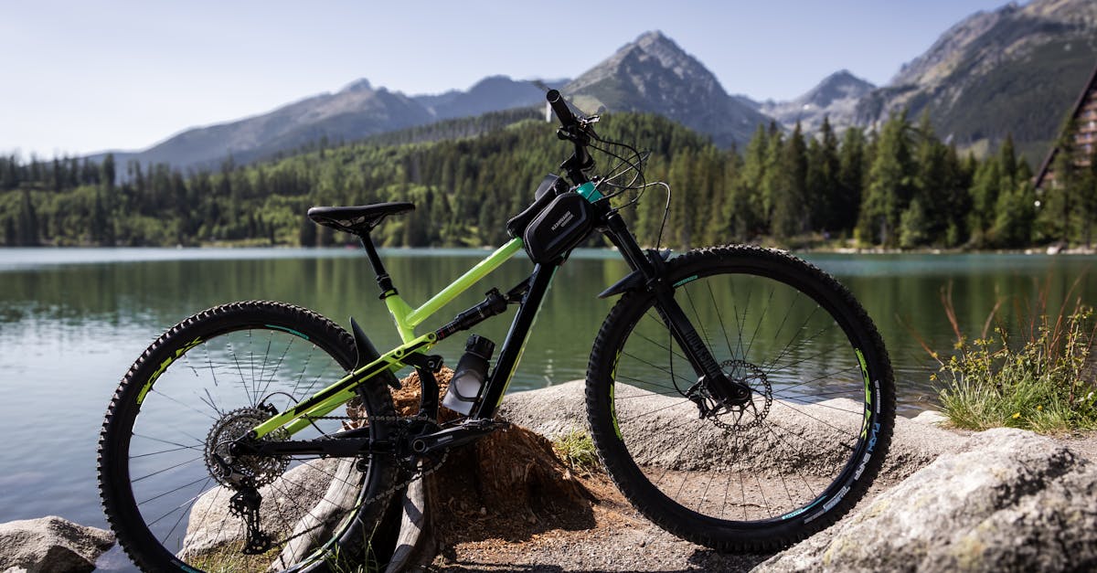 découvrez nos eco-services dédiés à la préservation de l'environnement et au développement durable. profitez de solutions innovantes pour réduire votre empreinte écologique tout en améliorant votre qualité de vie.