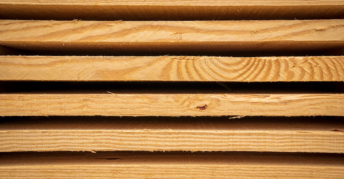 découvrez les meilleures pratiques en gestion des ressources naturelles pour favoriser la durabilité et l'équilibre écologique. apprenez comment optimiser l'utilisation des ressources tout en préservant l'environnement pour les générations futures.