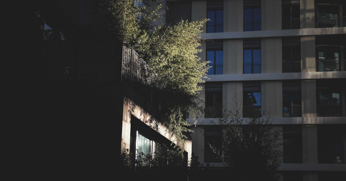 découvrez les principes de l'investissement durable et apprenez comment allier rentabilité et responsabilité sociale. investissez pour un avenir meilleur tout en générant des rendements financiers.