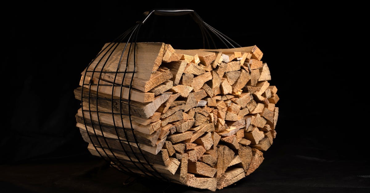 découvrez comment atteindre la neutralité carbone, un objectif essentiel pour lutter contre le changement climatique. explorez des stratégies et des solutions innovantes pour réduire vos émissions de co2 et contribuer à un avenir durable.