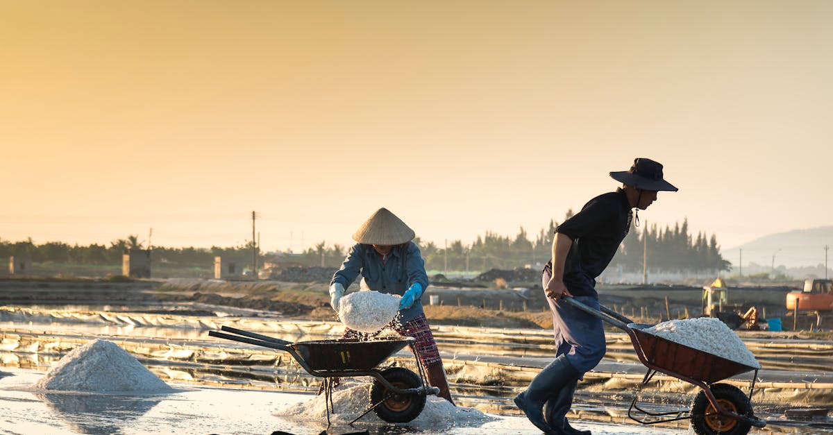 découvrez les principes d'une économie durable qui allie croissance économique, respect de l'environnement et bien-être social. explorez des solutions innovantes pour un avenir responsable et éthique, favorisant un développement harmonieux et durable.