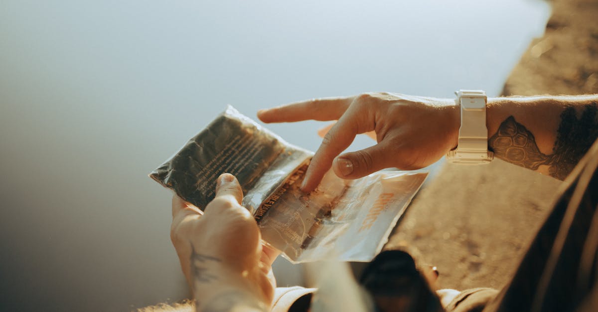 découvrez l'importance de la sensibilisation écologique pour préserver notre planète. apprenez comment des actions simples peuvent contribuer à un avenir durable et respectueux de l'environnement.