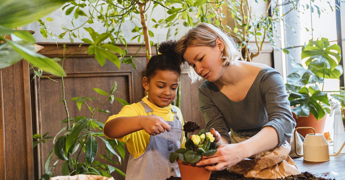découvrez l'importance de l'éducation environnementale pour sensibiliser aux enjeux écologiques et promouvoir un comportement responsable envers notre planète. explorez des ressources, des méthodes d'enseignement et des initiatives visant à encourager un mode de vie durable.