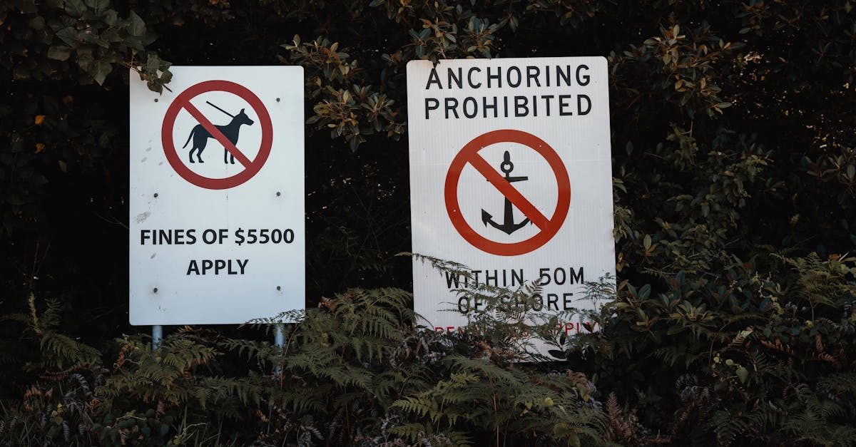 découvrez les réglementations environnementales essentielles qui protègent notre planète. informez-vous sur les normes en matière de durabilité, de gestion des déchets et de préservation de la biodiversité pour un avenir plus vert.