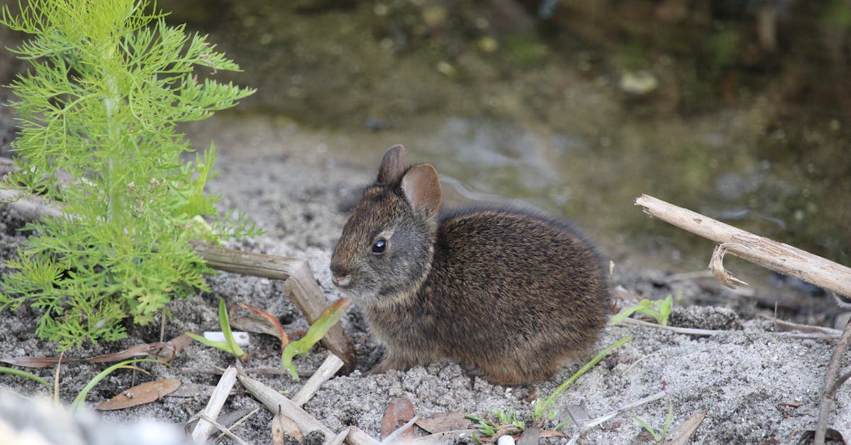 découvrez nos politiques environnementales visant à protéger la planète. nous nous engageons à promouvoir des pratiques durables, à réduire notre empreinte carbone et à favoriser la biodiversité pour un avenir plus vert.