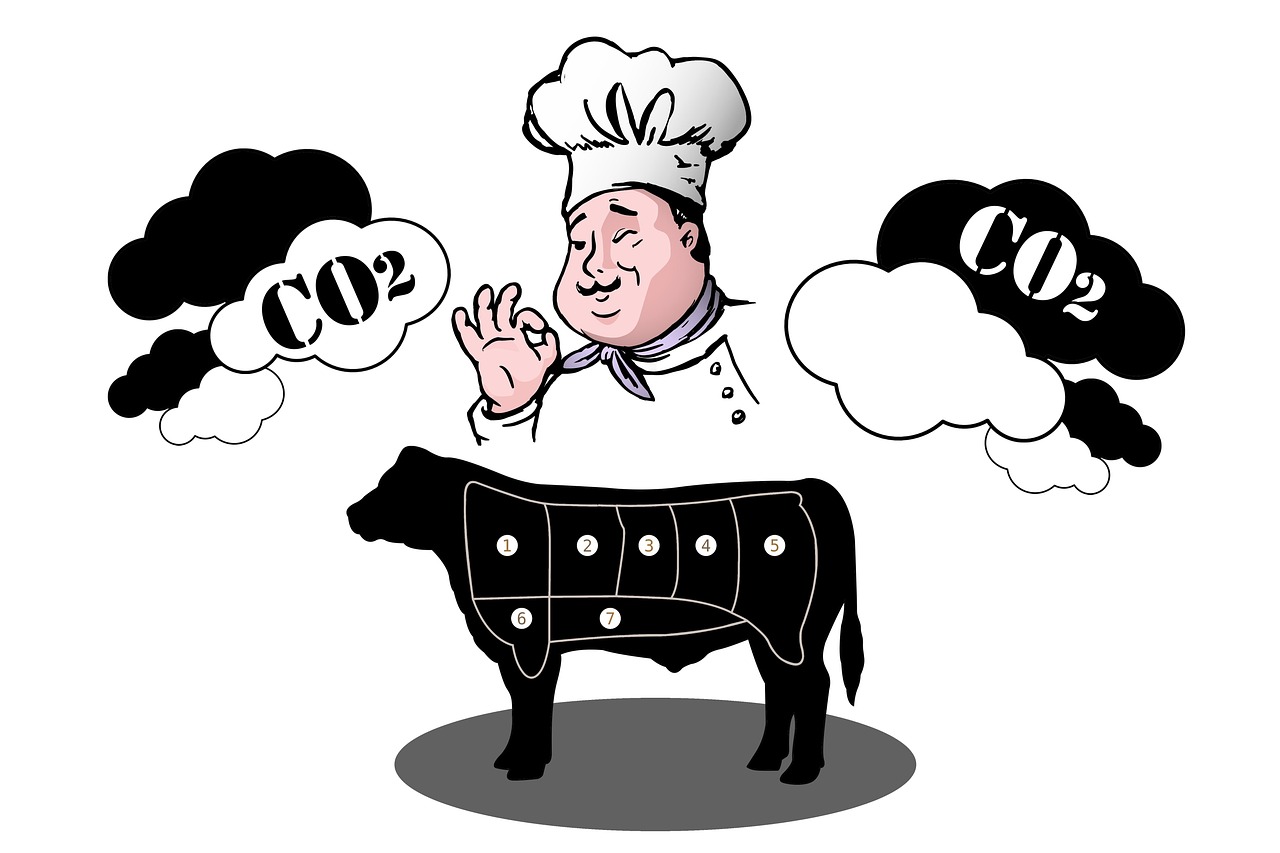 découvrez ce qu'est l'empreinte carbone, son impact sur l'environnement et des conseils pratiques pour la réduire au quotidien. agissez pour une planète plus saine!