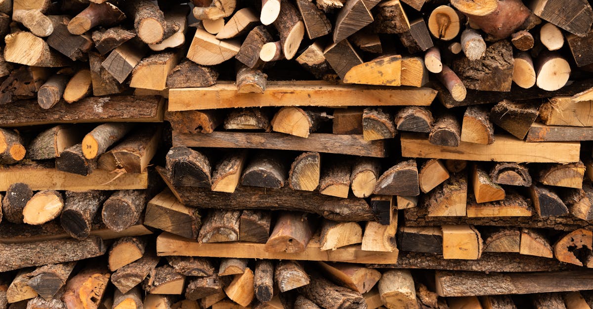 découvrez les solutions de chauffage renouvelable, écologiques et efficaces. optimisez votre confort tout en réduisant votre empreinte carbone avec les technologies de chauffage durables et respectueuses de l'environnement.