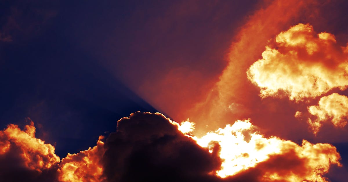 découvrez 'climate vision', une plateforme innovante dédiée à la sensibilisation et à l'action climatique. explorez des solutions durables, des analyses approfondies et des initiatives inspirantes pour un avenir plus vert. rejoignez-nous dans notre mission pour protéger notre planète.