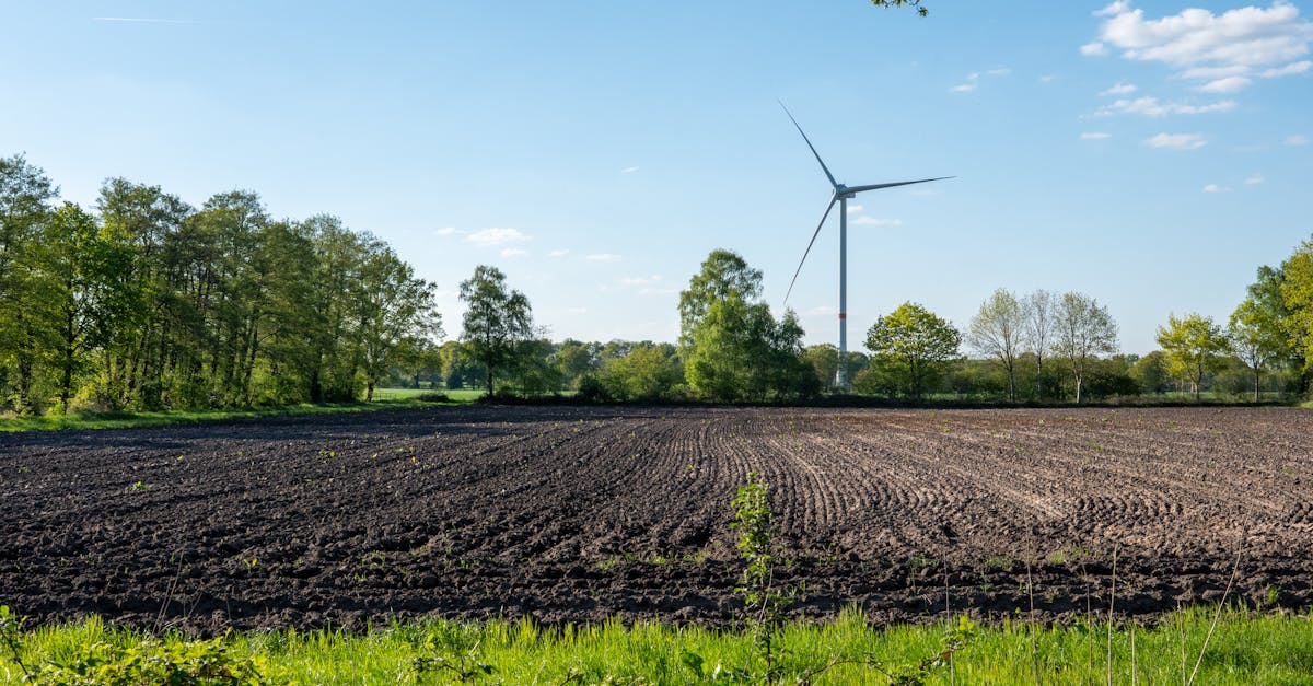 découvrez comment réduire votre empreinte carbone et contribuer à la protection de l'environnement. des conseils pratiques et des solutions durables pour un mode de vie éco-responsable.