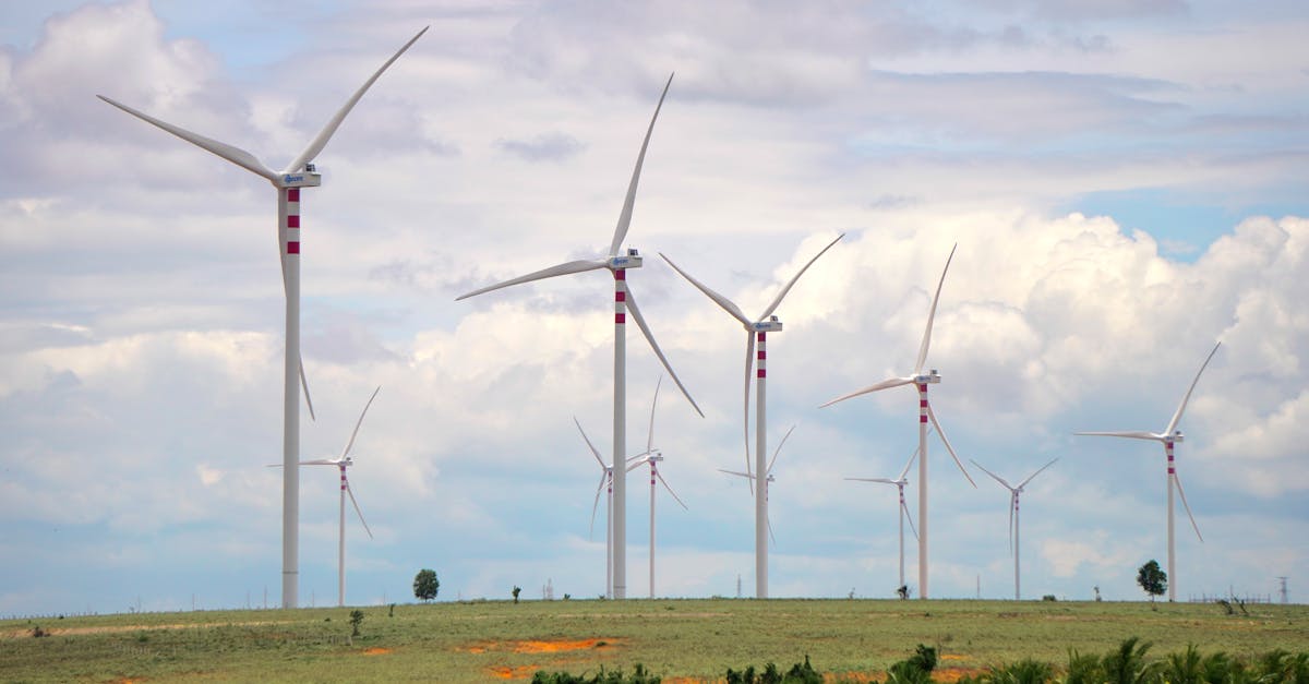 découvrez des solutions innovantes et durables pour lutter contre le changement climatique. adoptez des pratiques écoresponsables et contribuez à la préservation de notre planète grâce à des initiatives efficaces et accessibles.