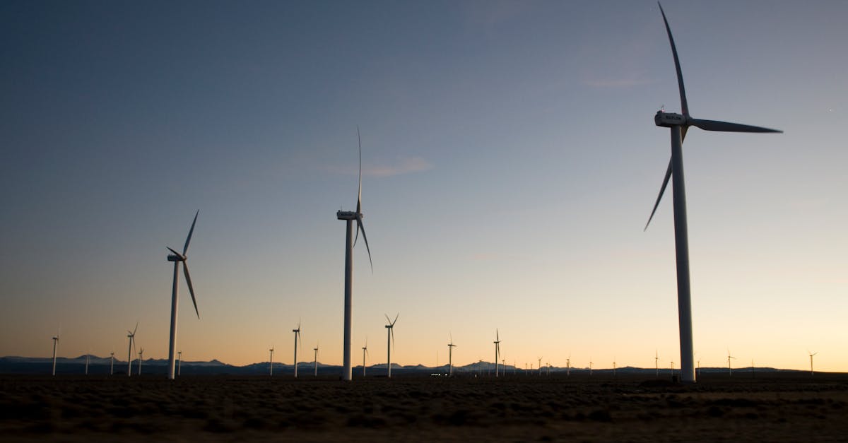 découvrez les ressources renouvelables, une solution durable pour l'avenir de notre planète. apprenez comment l'énergie solaire, éolienne et hydraulique contribuent à la préservation de l'environnement et à la réduction de notre empreinte carbone.