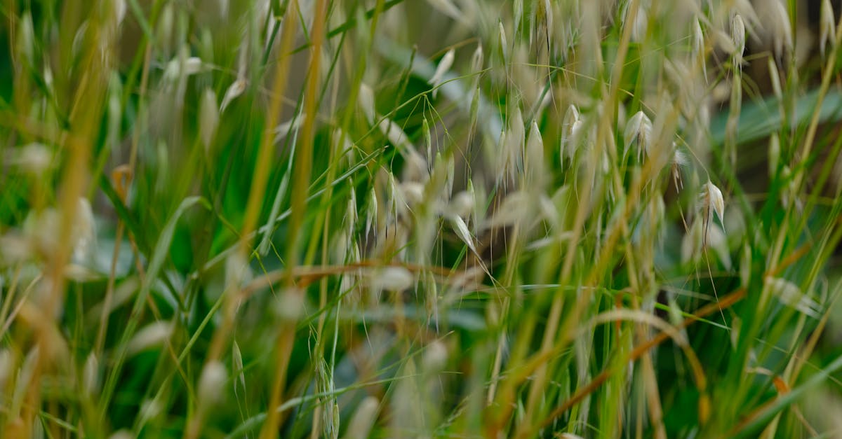 découvrez l'évaluation des coûts environnementaux, une approche essentielle pour quantifier les impacts d'activités humaines sur notre planète. apprenez à intégrer ces évaluations dans la prise de décision afin de promouvoir des pratiques durables et responsables.