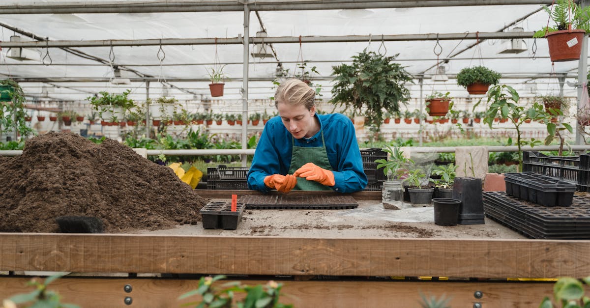 découvrez les principes du jardinage durable : des astuces pour cultiver votre jardin tout en préservant l'environnement. apprenez à choisir des plantes adaptées, à utiliser des méthodes de culture respectueuses et à favoriser la biodiversité pour créer un espace vert écolo et florissant.