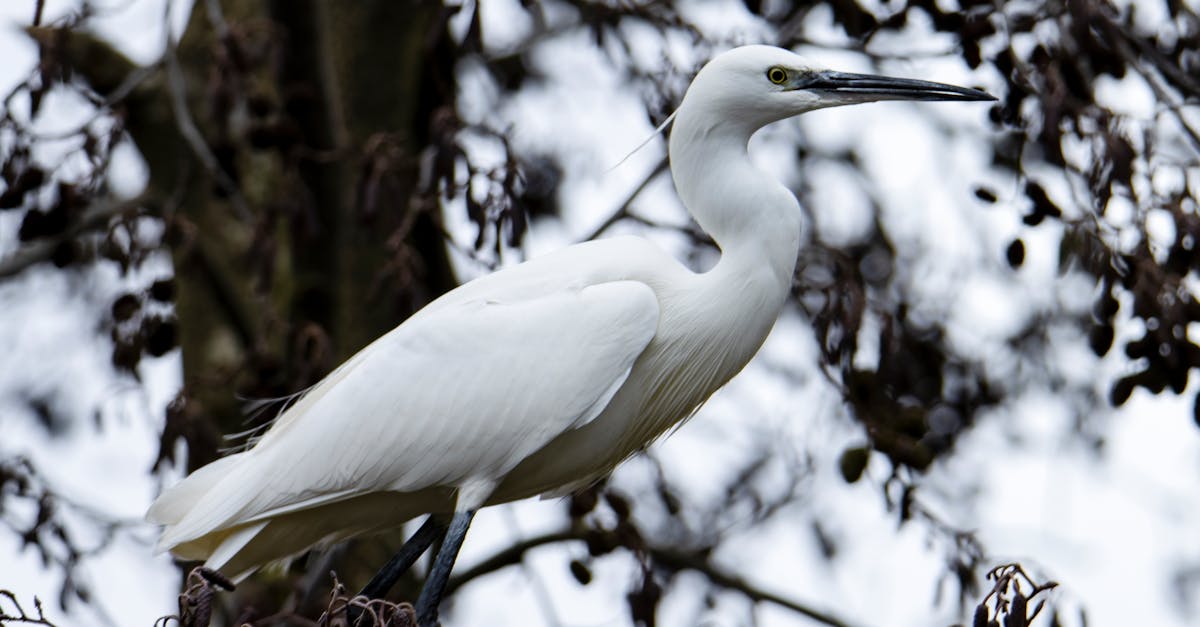 découvrez comment provoquer un changement de comportement efficace grâce à des stratégies psychologiques et des techniques d'influence. apprenez à instaurer de nouvelles habitudes durables et à améliorer votre bien-être personnel et professionnel.