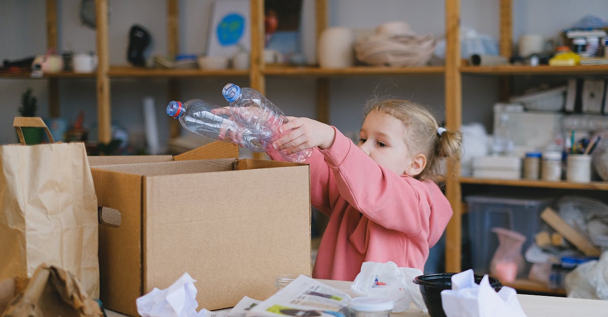 découvrez l'éducation à l'environnement : ses objectifs, ses enjeux et comment elle sensibilise à la protection de la nature et au développement durable.