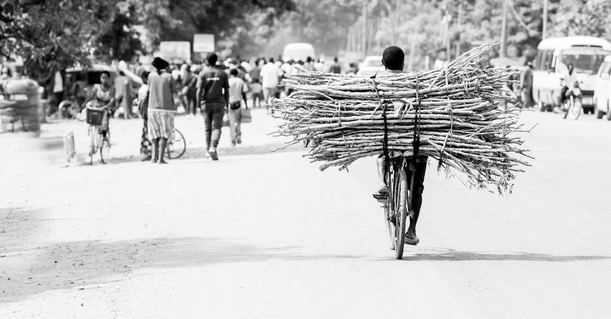 découvrez les véhicules durables : une solution éco-responsable pour un avenir plus vert. explorez notre gamme de voitures respectueuses de l'environnement et apprenez comment elles contribuent à la réduction des émissions de co2 tout en offrant performance et confort.