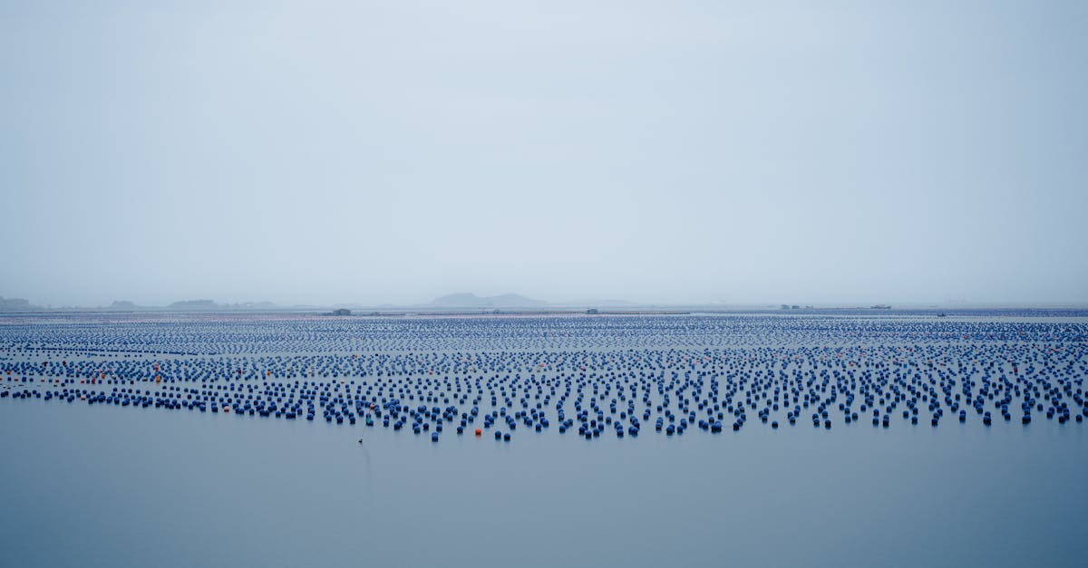 découvrez comment les politiques environnementales façonnent notre avenir en promouvant la durabilité, la protection de la biodiversité et la lutte contre le changement climatique. informez-vous sur les stratégies adoptées par les gouvernements et les entreprises pour un monde plus vert.