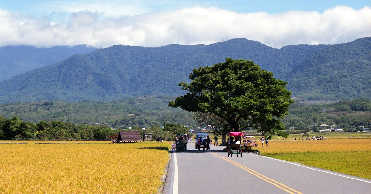 découvrez les véhicules durables qui allient performance et respect de l'environnement. explorez les dernières innovations en matière de mobilité écologique, réduisant votre empreinte carbone tout en garantissant confort et sécurité.