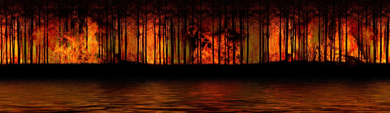 découvrez nos conseils et astuces pour bien gérer une canicule et rester au frais pendant les vagues de chaleur.