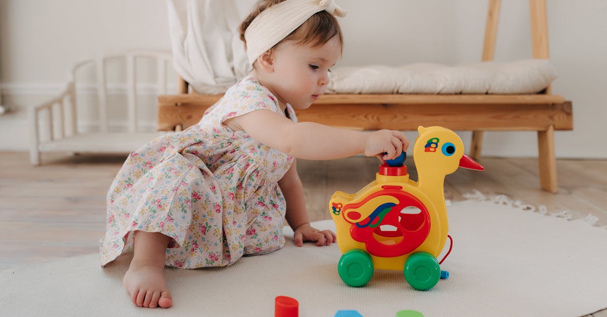 découvrez l'éducation à la citoyenneté : un parcours essentiel pour comprendre les droits, les responsabilités et l'engagement civique. formez-vous à devenir un citoyen actif, informé et responsable au sein de votre communauté.