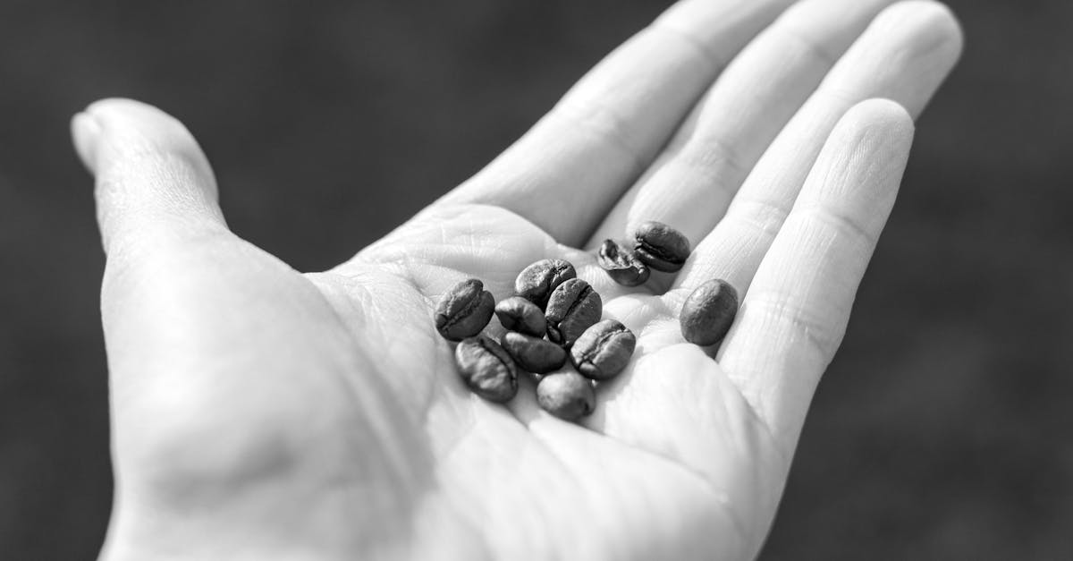 découvrez comment adopter une consommation durable pour protéger notre planète tout en répondant à vos besoins. explorez des astuces, des stratégies et des ressources pour réduire votre empreinte écologique et soutenir des pratiques éthiques.