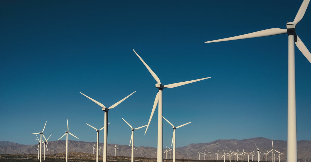 découvrez comment réduire votre empreinte carbone et contribuer à la protection de l'environnement. apprenez des pratiques durables et des astuces efficaces pour minimiser votre impact sur la planète.