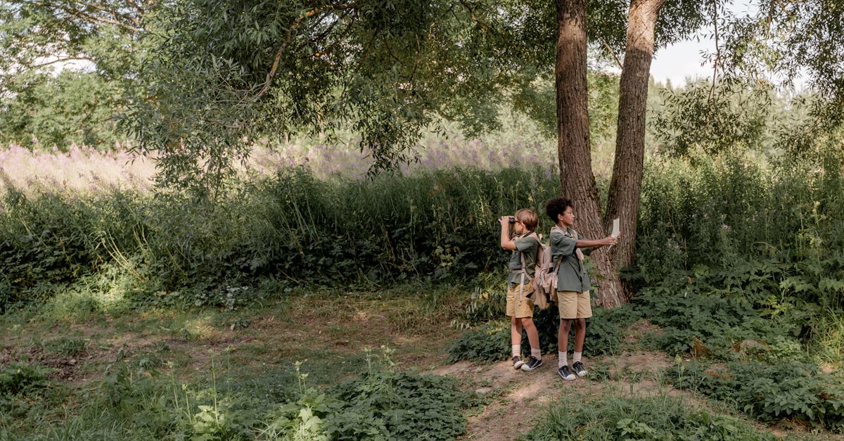 découvrez l'éducation environnementale : un apprentissage essentiel pour comprendre les enjeux écologiques, protéger notre planète et encourager un avenir durable. adoptez des pratiques respectueuses de l'environnement pour un impact positif.