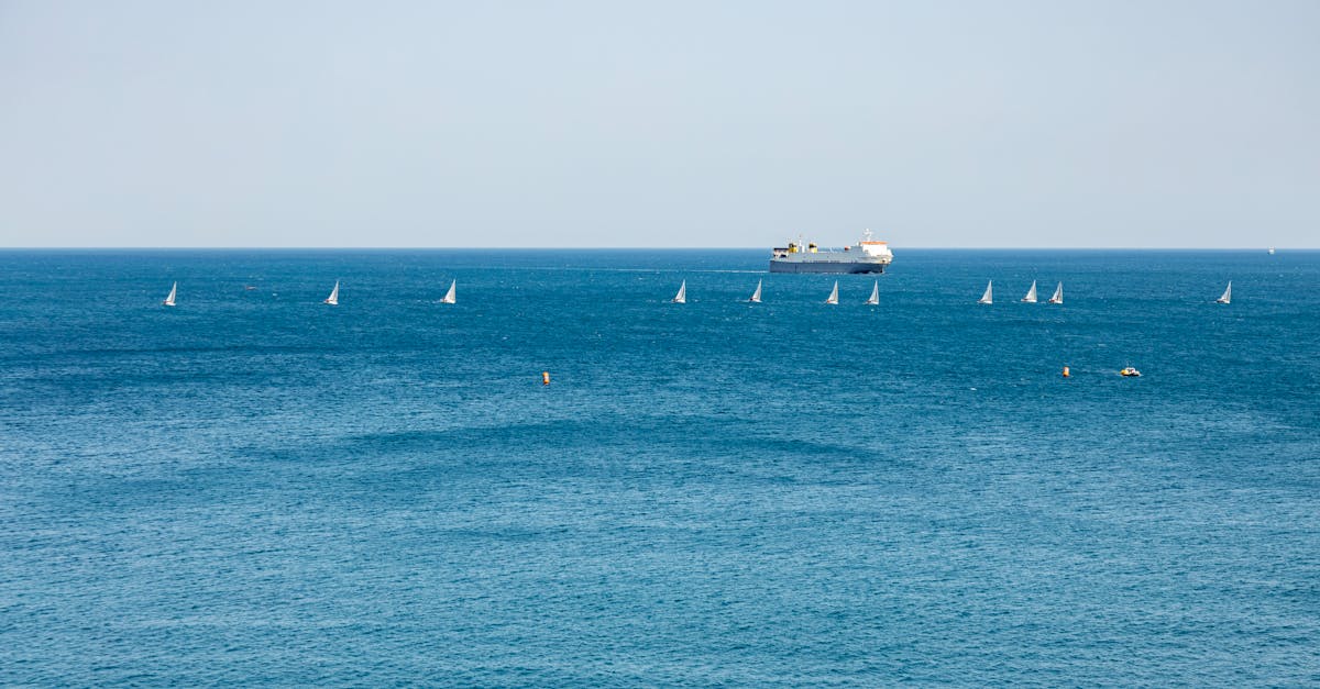 découvrez l'impact des émissions de co2 sur l'environnement et la santé. apprenez les sources principales de ces gaz à effet de serre et les solutions pour réduire notre empreinte carbone.