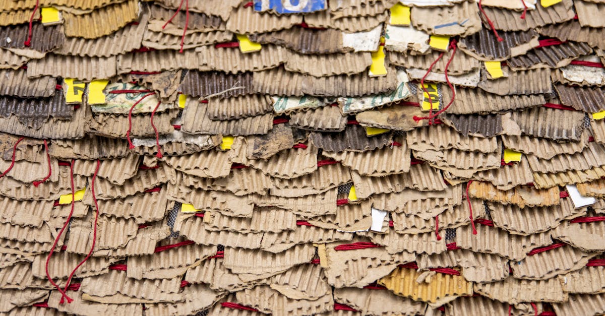 découvrez l'art du recyclage créatif : transformez des objets usagés en œuvres uniques et écoresponsables. inspirez-vous de nos idées innovantes pour donner une nouvelle vie à vos matériaux et contribuer à une planète plus verte.